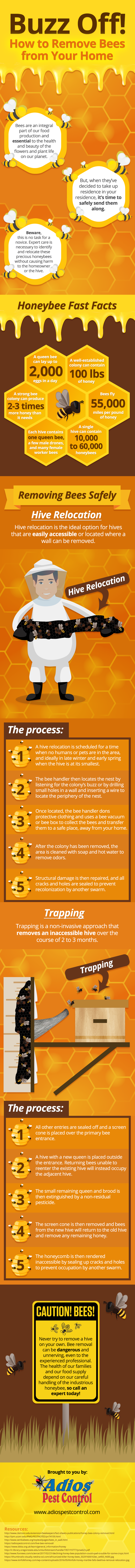 infographic sharing how to remove bees from your home
