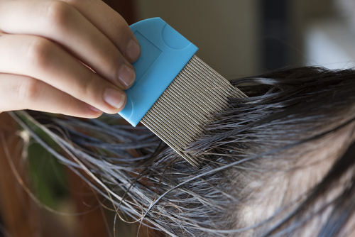 7 Tips to Avoid Head Lice in the New School Year
