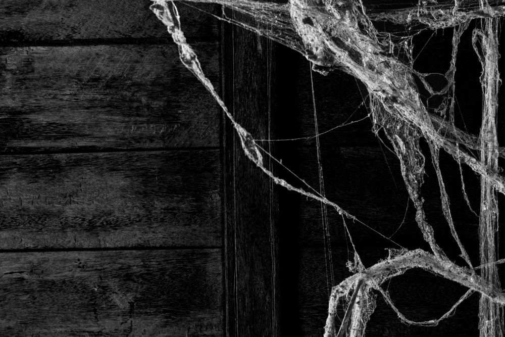 eerie spiderweb hands in the door frame of an old house