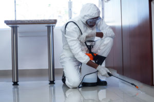 A pest control professional sprays for insects at a business.