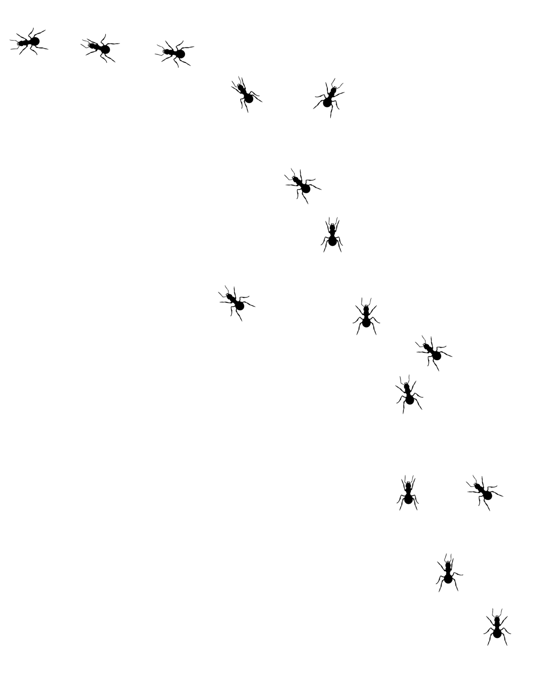 isolatedants Adios Pest Control