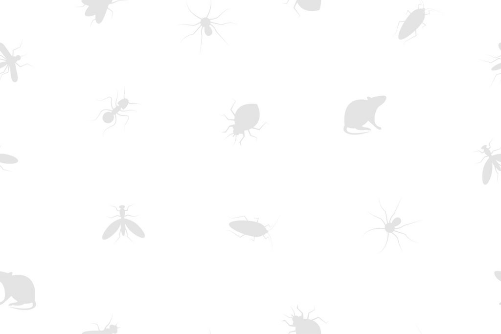 light-gray-bug-background | Adios Pest Control